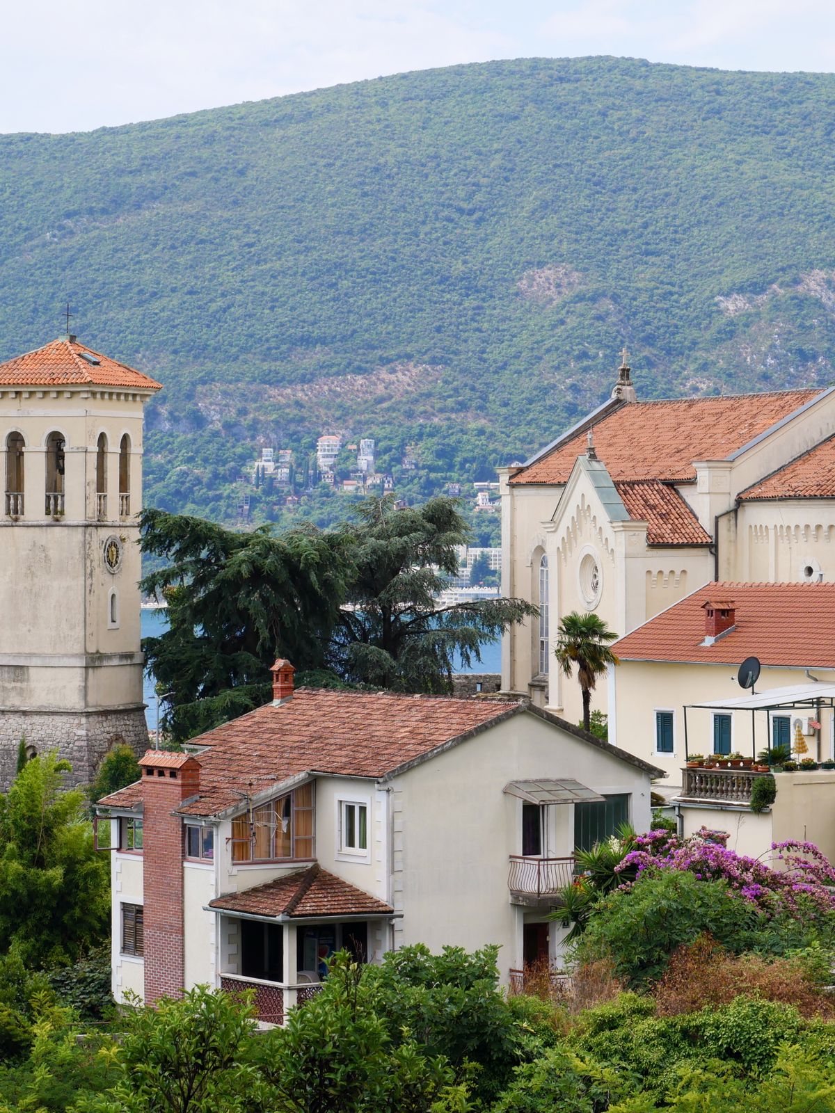 Herceg Novi