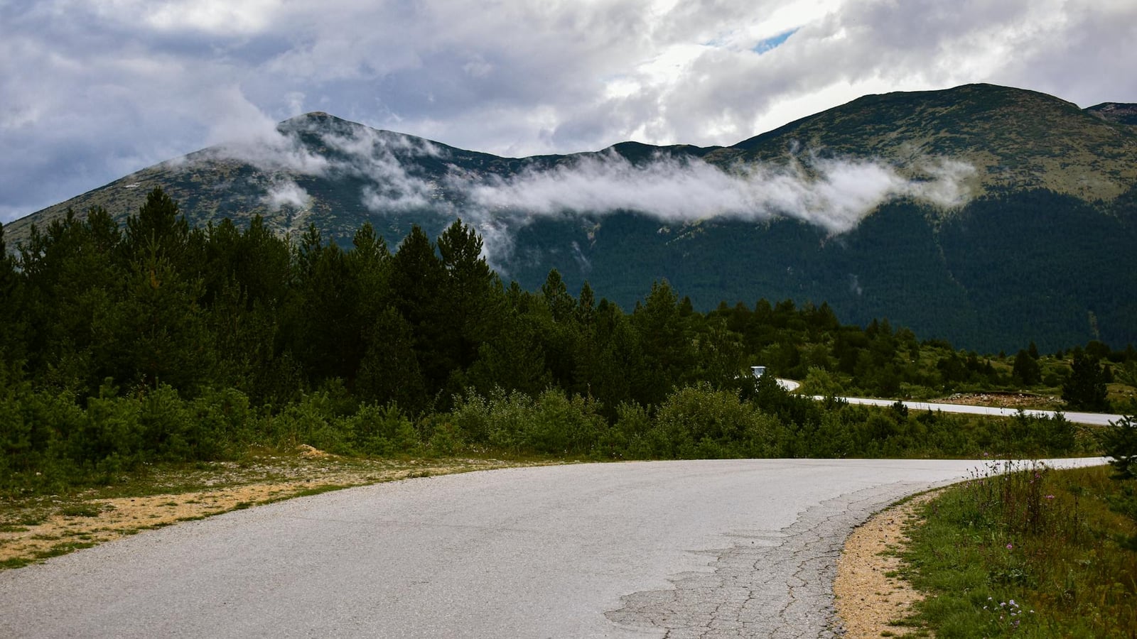 Road curving above Kotor bay