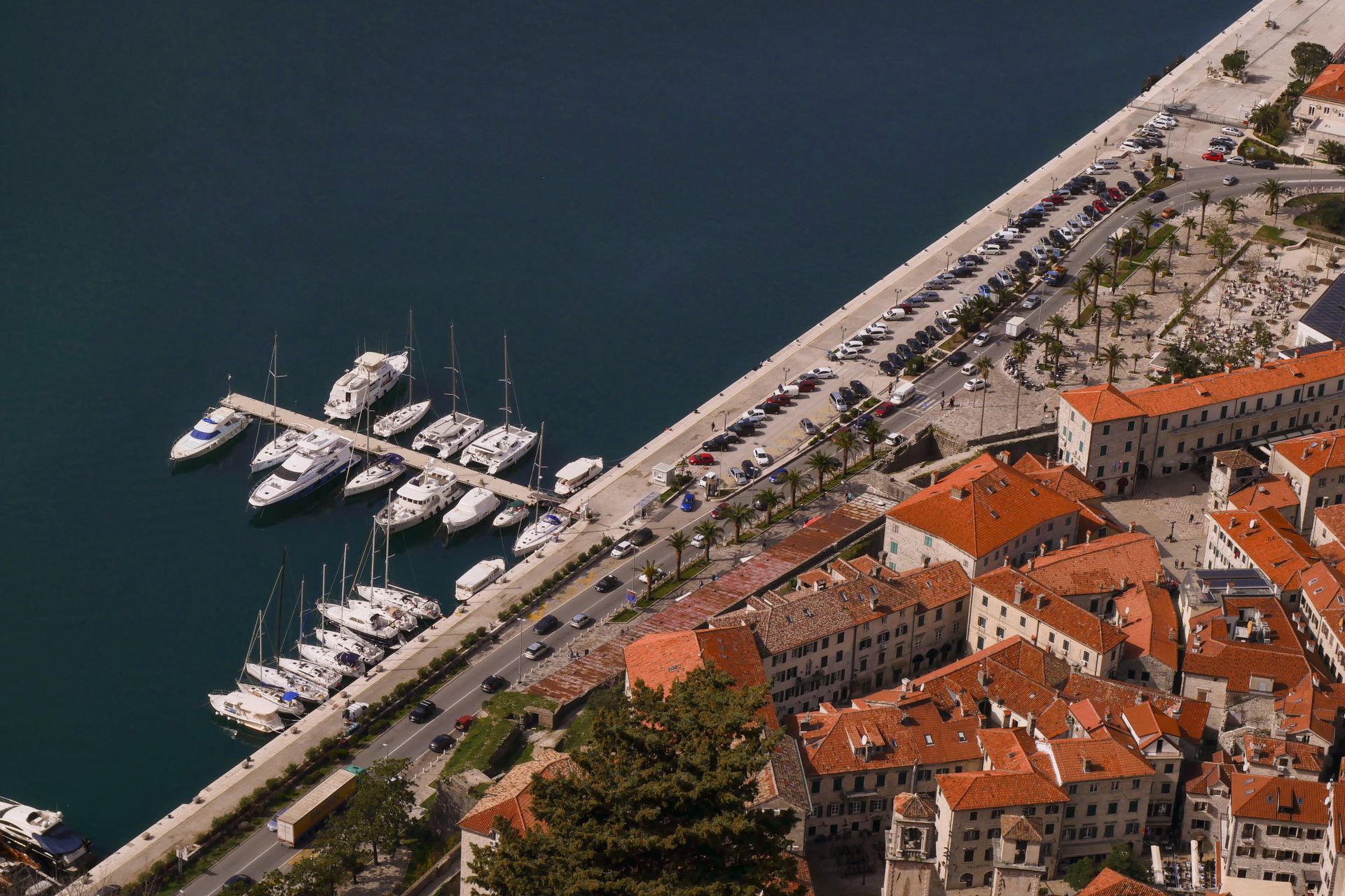 Kotor